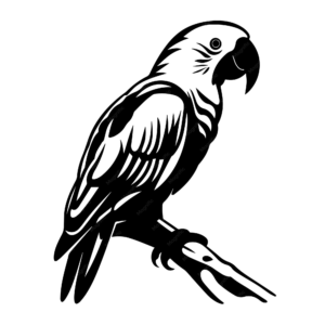 Macaws only