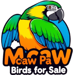 Middle East Macaw Parrots 4 Sale