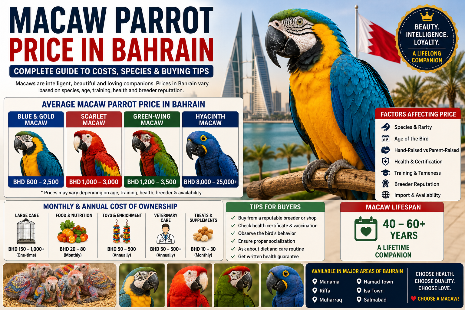 Macaw Parrot Price in Bahrain