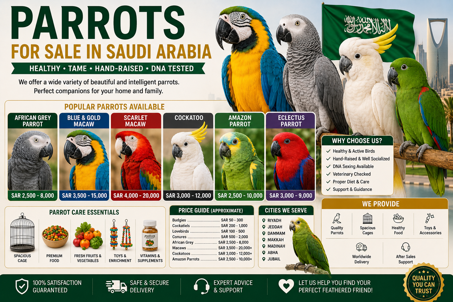 Parrots for Sale in Saudi Arabia: Complete Guide to Buying Healthy Pet Parrots