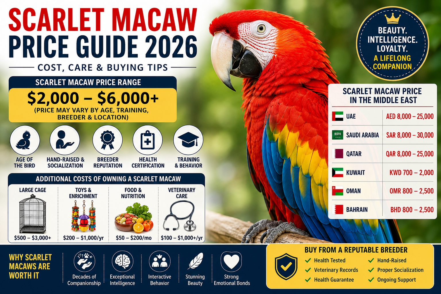 Scarlet Macaw Price: Complete Guide to Cost Availability and Ownership