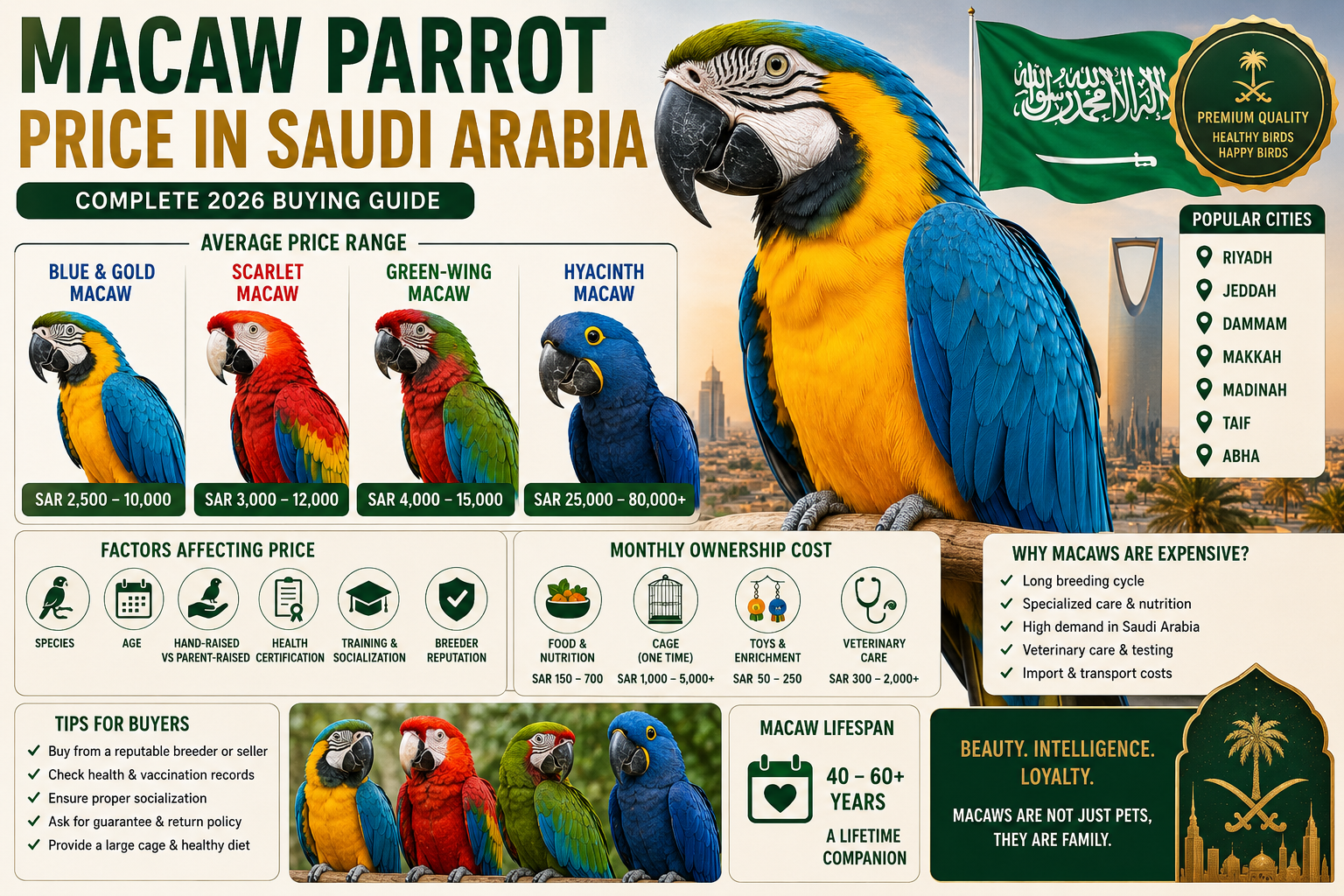 Macaw Parrot Price in Saudi Arabia